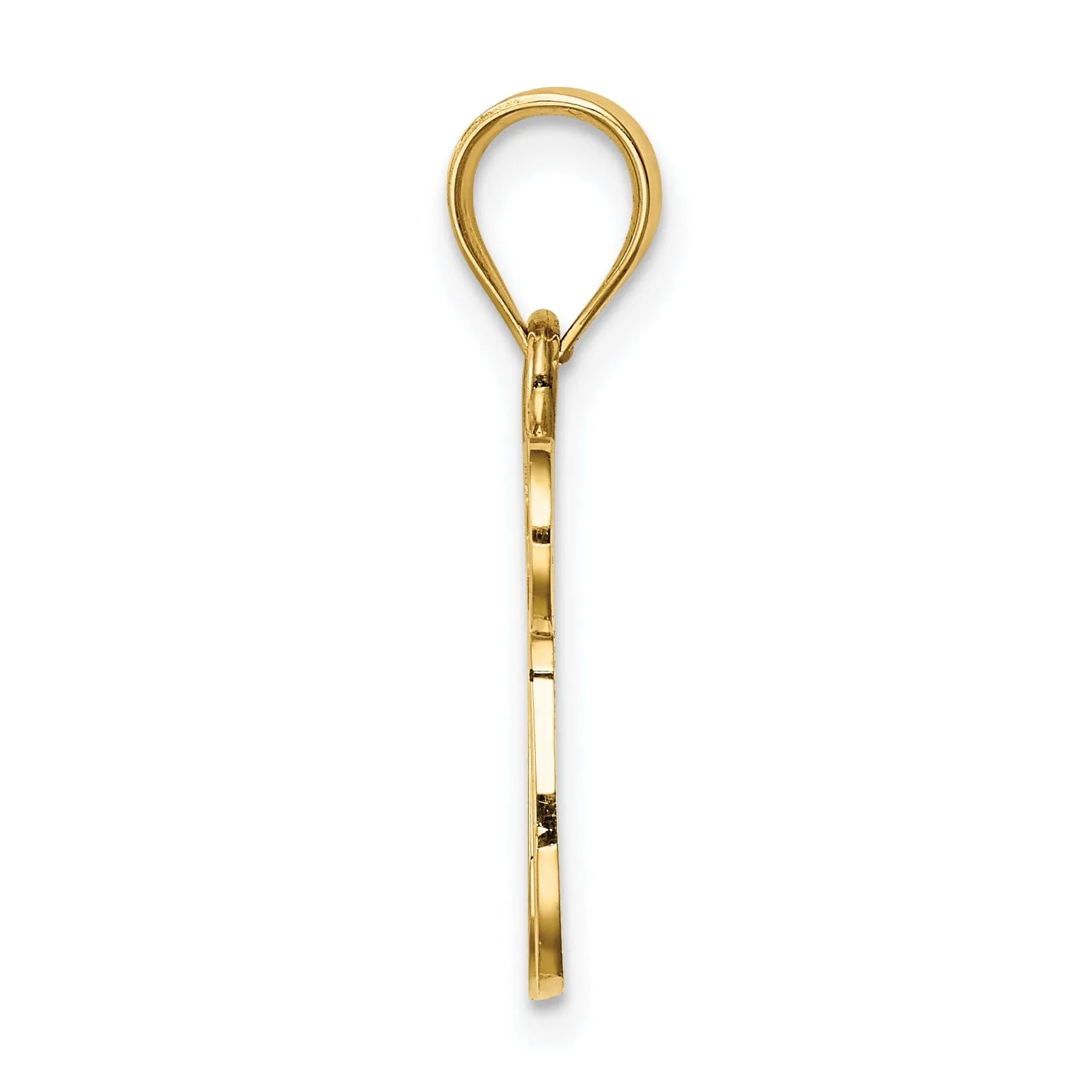 14K Yellow Gold Polished Finish Chai with Star of David Pendant