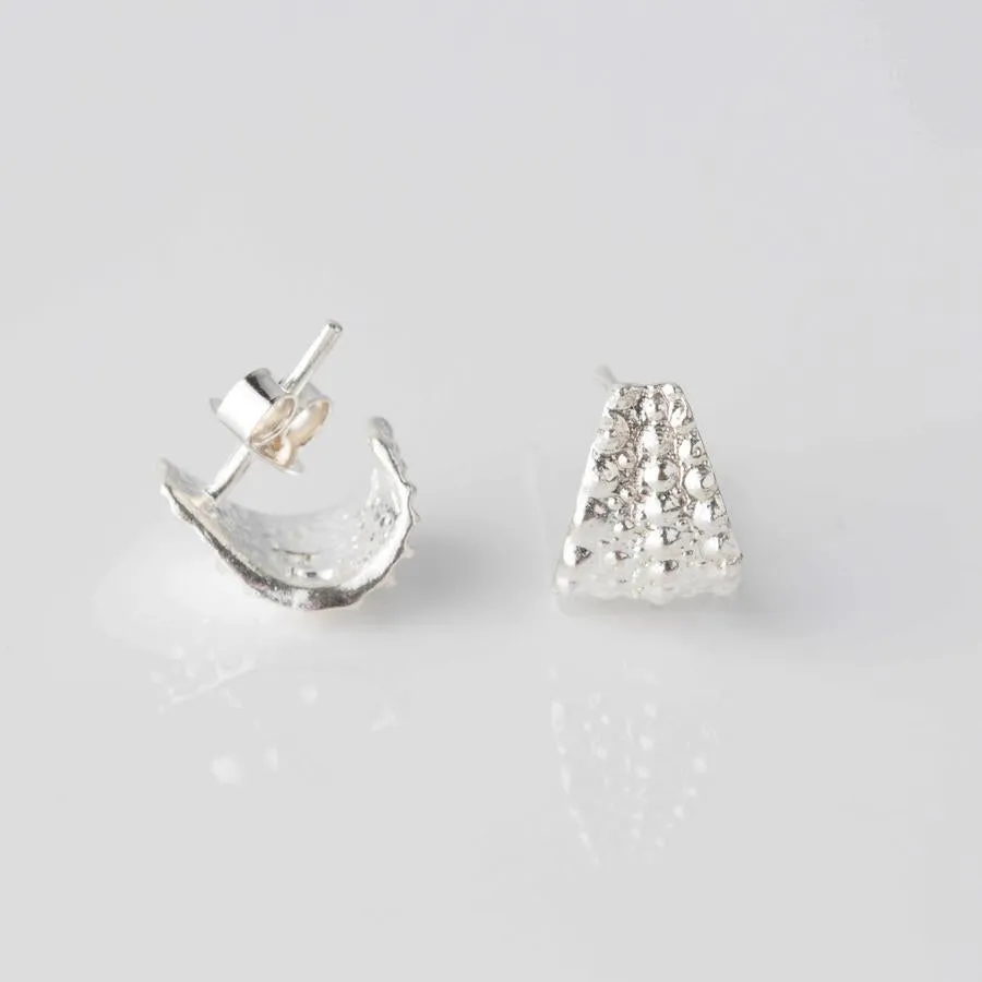 Sea Urchin Wrap Stud Earrings (Silver or Gold)