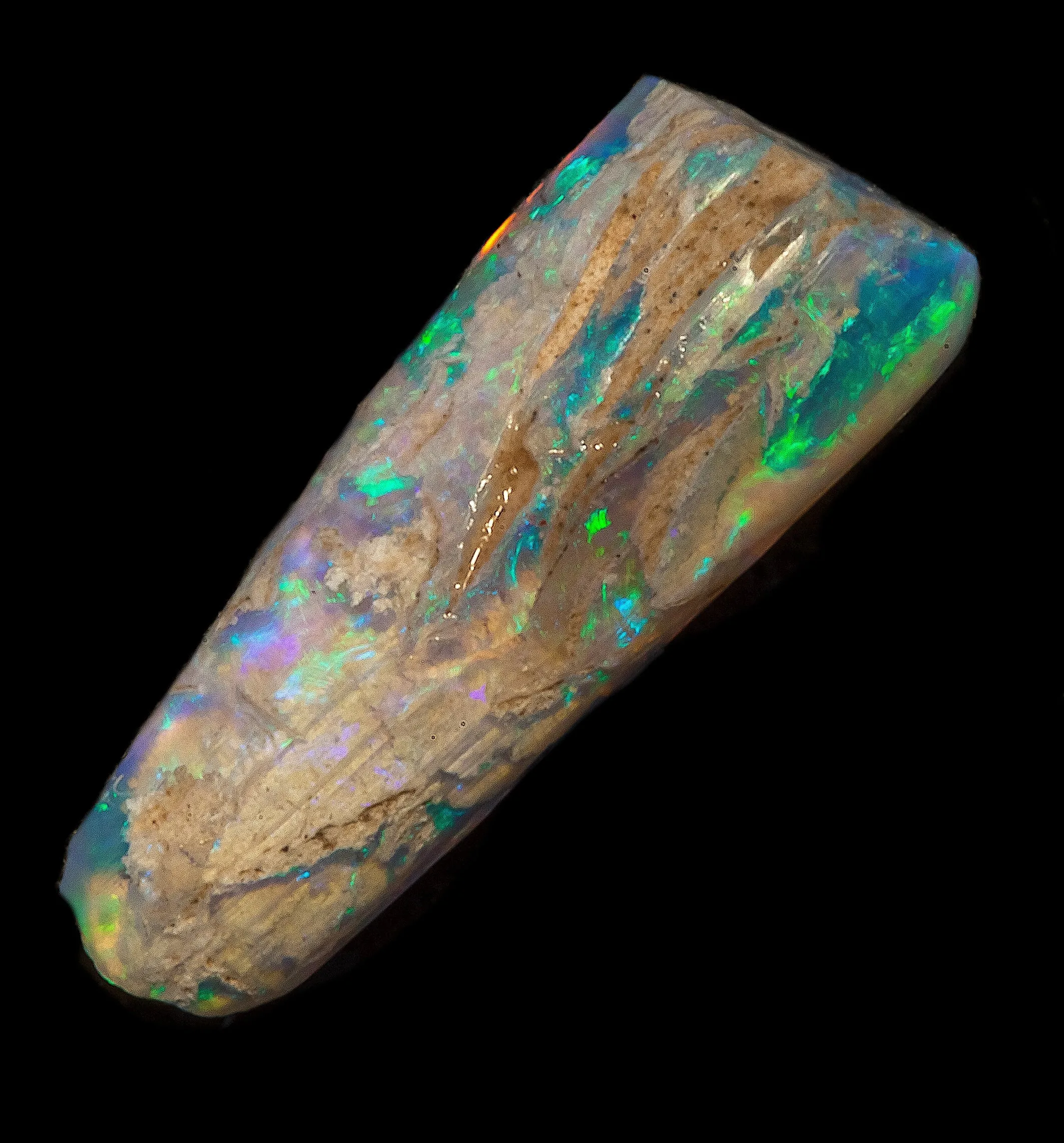 Stunning Australian Opal Belemnite